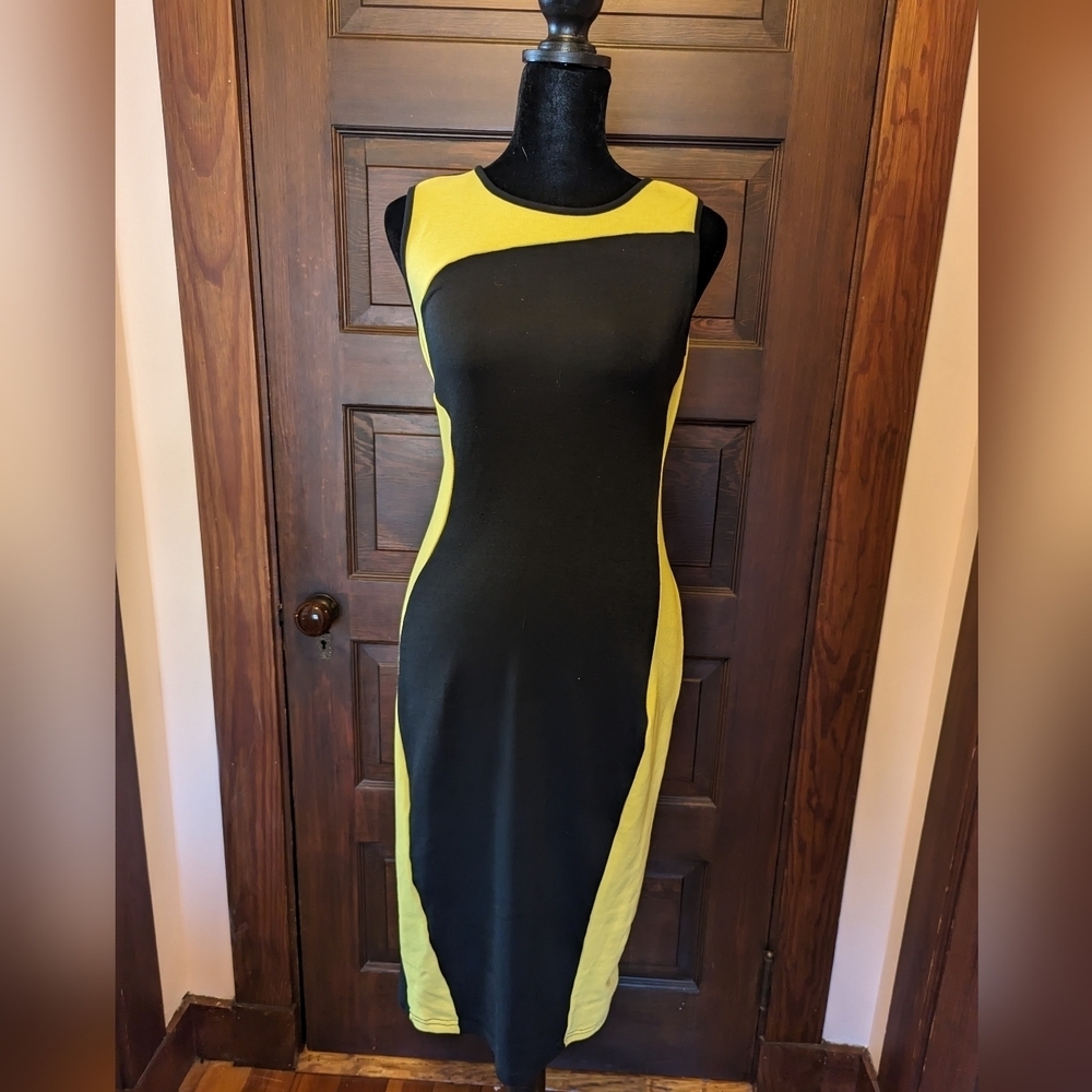 2/$30 Modern Sheath Dress